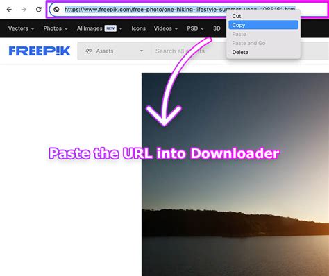 Freepik Image Downloader Without Watermark .